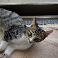 あどけない時期を見逃さないで見守って欲しい