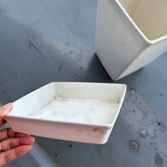 鉢　プラスチックの画像