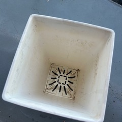 鉢　プラスチックの画像