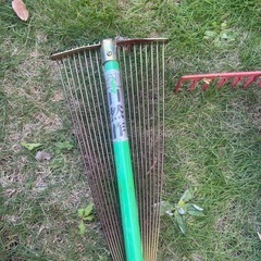 芝のサッチ取りレーキの画像