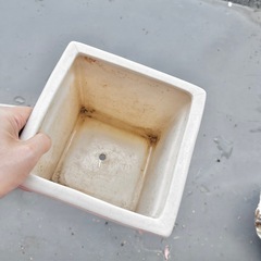 鉢　陶器製の画像