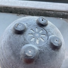 寄植え鉢　プラスチックの画像
