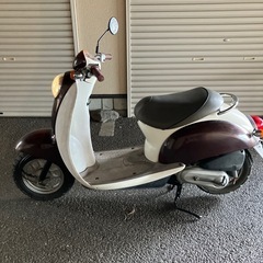 スクーピー、格安原付き、ホンダ、の画像