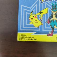 【新品】ポケモン  メガルカリオとヒトカゲの画像