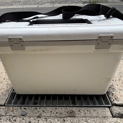 伸和 クーラーボックス 22L ホリデーランドクーラー 釣り キャンプ アウトドアの画像