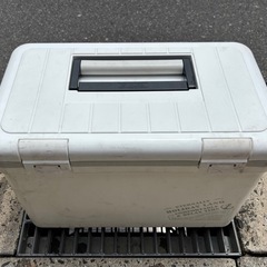 伸和 クーラーボックス 22L ホリデーランドクーラー 釣り キャンプ アウトドアの画像