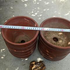 植木鉢　12個セット＋おまけの画像