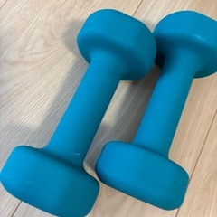 ダンベル3kg×2の画像
