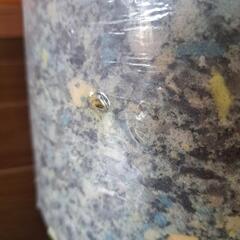 チップクッションの画像