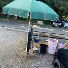 差し上げます。パラソル大の画像