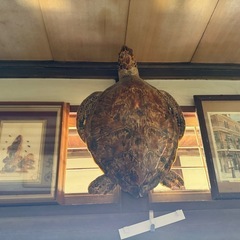 古くからの骨董品、壺、絵画、その他、写真をご覧ください。相談で値段を決めさせていただきます。の画像