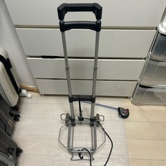 キャリーの画像