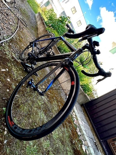 キャノンデール　オプティモ