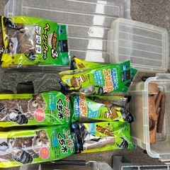 クワガタ飼育セットの画像