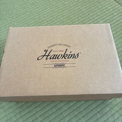25センチ　サンダル　ホーキンス　Hawkins 数回のみ使用の画像