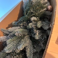 クリスマスツリー　150㎝サイズの画像