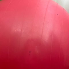 バランスボール　55㎝の画像