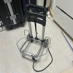 キャリーの画像