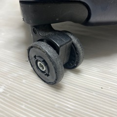 キャリーケース中の画像