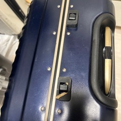 キャリーケース中の画像