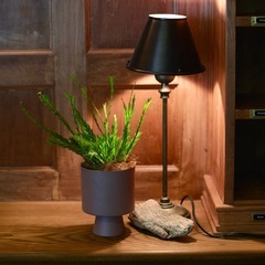 【新品、未使用】廃盤品 レア デザイン鉢　鉢カバー 植木鉢 フラワーポット 北欧 まとめ売りの画像
