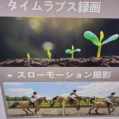ビデオカメラの画像
