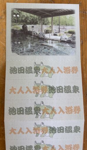 池田温泉　入浴券（回収券 12枚つづりが6300円）　土日祝日使用可能