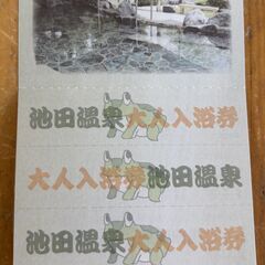 【早い者勝ち】池田温泉　入浴券（回収券 12枚つづりが6000円）　土日祝日使用可能の画像