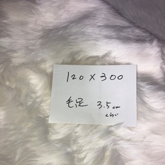 引き取り手決まりましたの画像