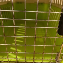 ペット用品の画像