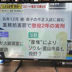  2019年製 VIERA TH-43F300HT フルハーフIPSパネルの画像