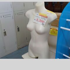 ID：643109　マネキンの画像