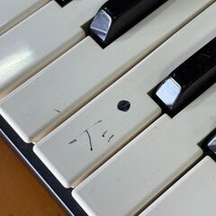 CASIO 電子キーボード LK-100の画像