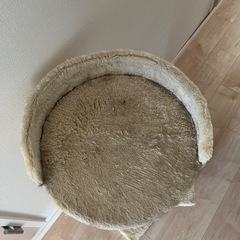 キャットタワーの画像