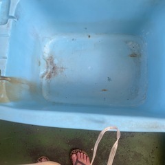 取り引き中
の画像