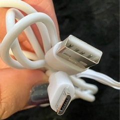 【決まりました】USBケーブルBタイプ 白 73cmの画像