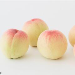 おかやま夢白桃　6個入り　ご家庭　ちょっとしたご挨拶に！の画像