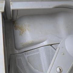 【状態確認】Panasonic　食洗機　NP-TA1-Wの画像