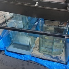 アクアリウム 水槽 用品 まとめ売り 生体の画像
