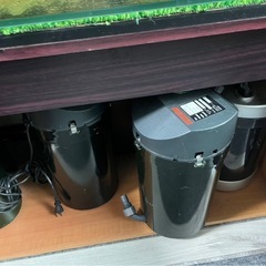 アクアリウム 水槽 用品 まとめ売り 生体の画像