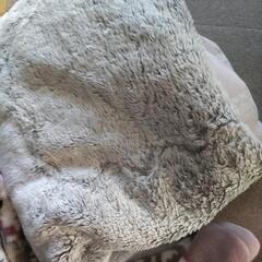 明日捨てます。ペットの敷毛布かわりに　毛布2枚　敷毛布1枚の画像