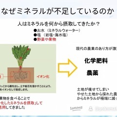 醗酵ドリンク教室の画像