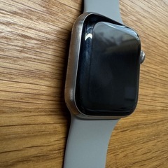 Apple Watch series 6チタニウム40MM グレイスポーツバンド の画像
