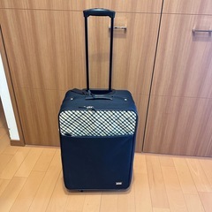 DAKS スーツケースの画像