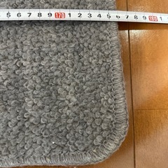 【多数出品中】ホットカーペット　一畳用　一帖用の画像