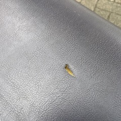 ベンチ　椅子　現状販売の画像