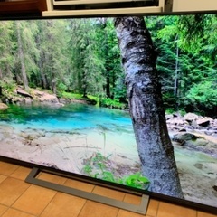 東芝 TOSHIBA レグザ 4K 55インチ 55型 55M530X 2019年製の画像
