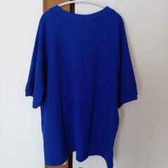 新品　3L  楊柳　ブルーカットソーの画像