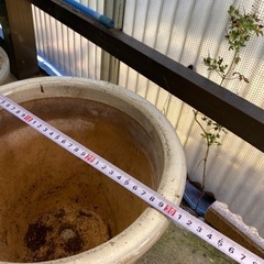 植木鉢 (非対面式　取引希望)の画像
