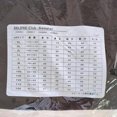 千葉市立泉谷中学校指定セーターの画像